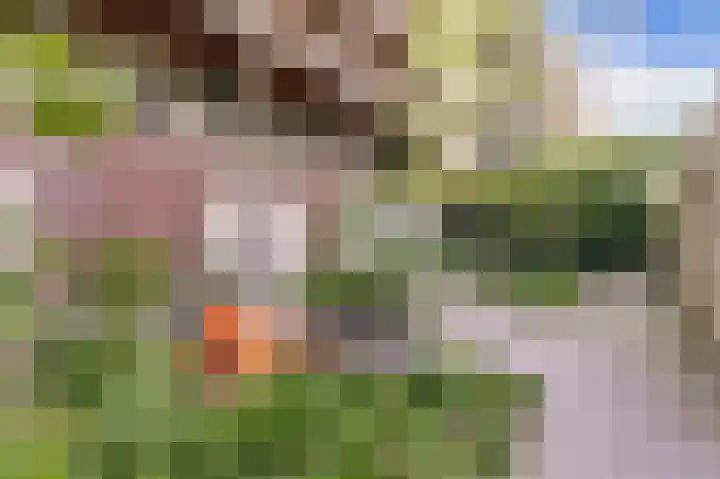 Haparandaweg 918 E Amsterdam thumbnail 20
