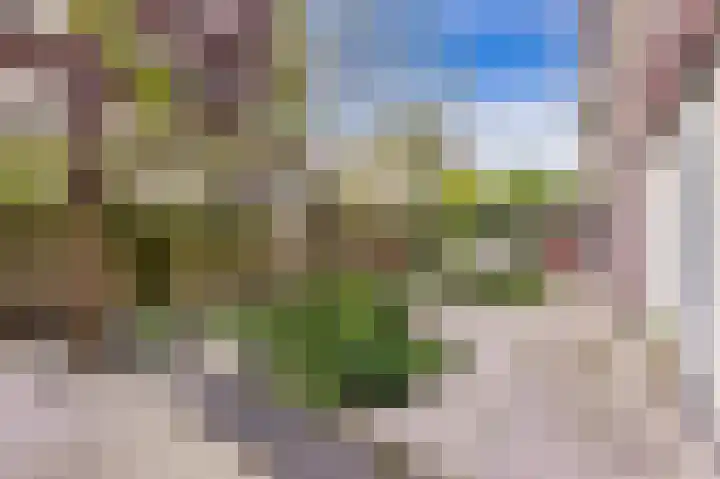 Haparandaweg 918 E Amsterdam thumbnail 21