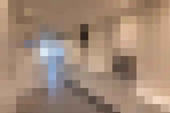 Haparandaweg 918 E Amsterdam thumbnail 7
