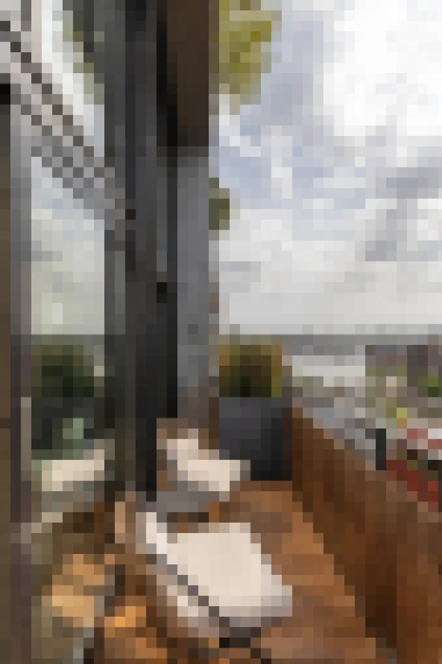 Haparandaweg 936 A Amsterdam thumbnail 12