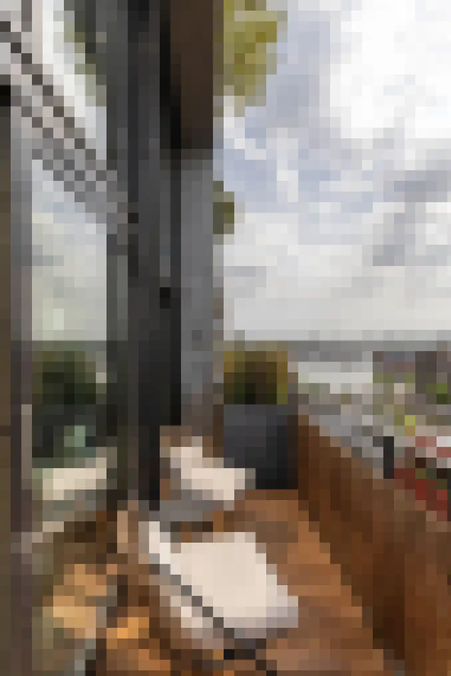 Haparandaweg 936 B Amsterdam thumbnail 12