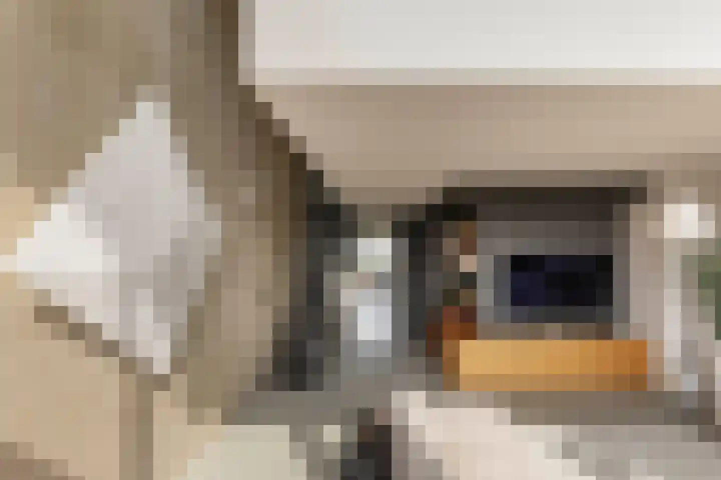 Haparandaweg 936 B Amsterdam thumbnail 13