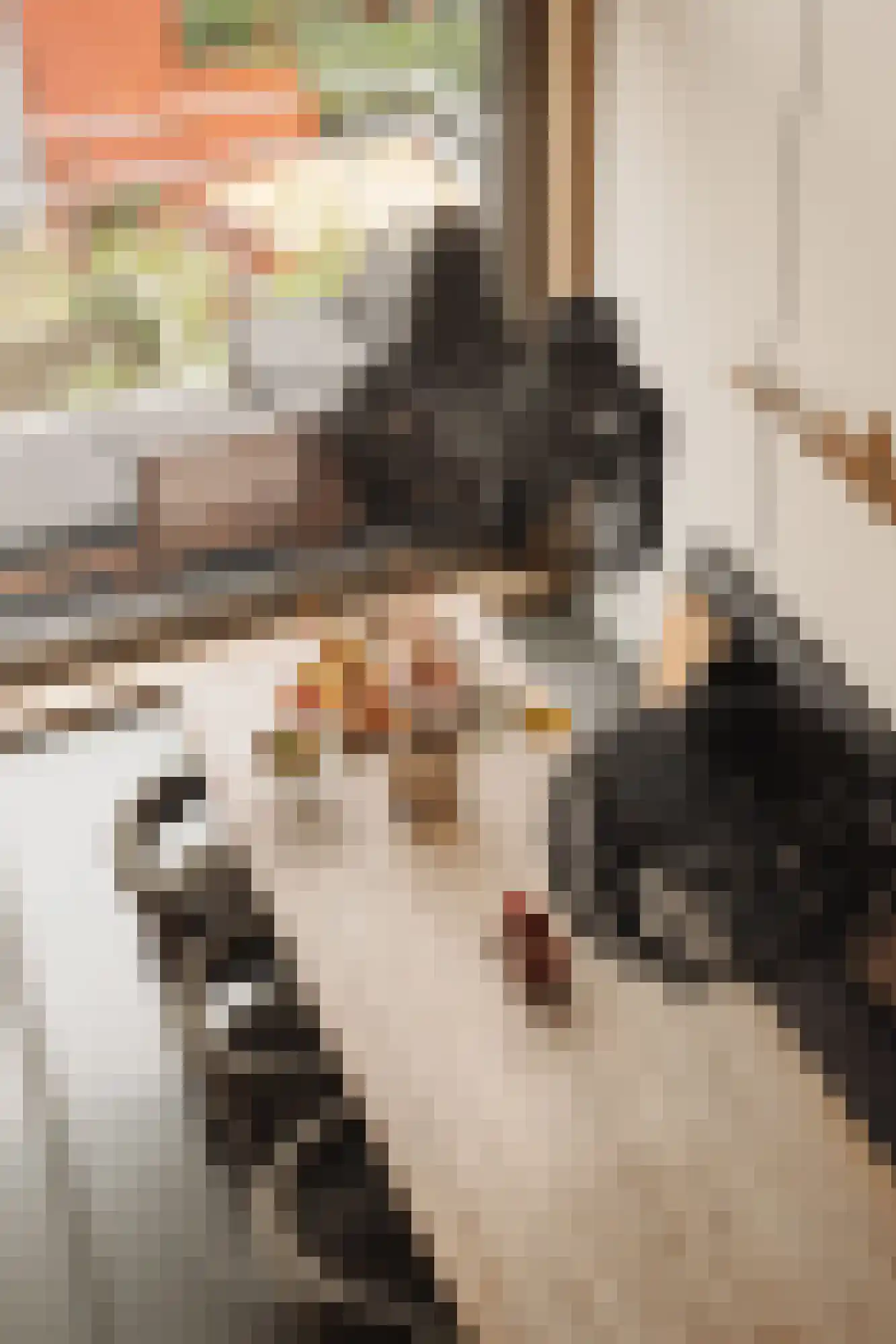 Haparandaweg 960 Amsterdam thumbnail 13