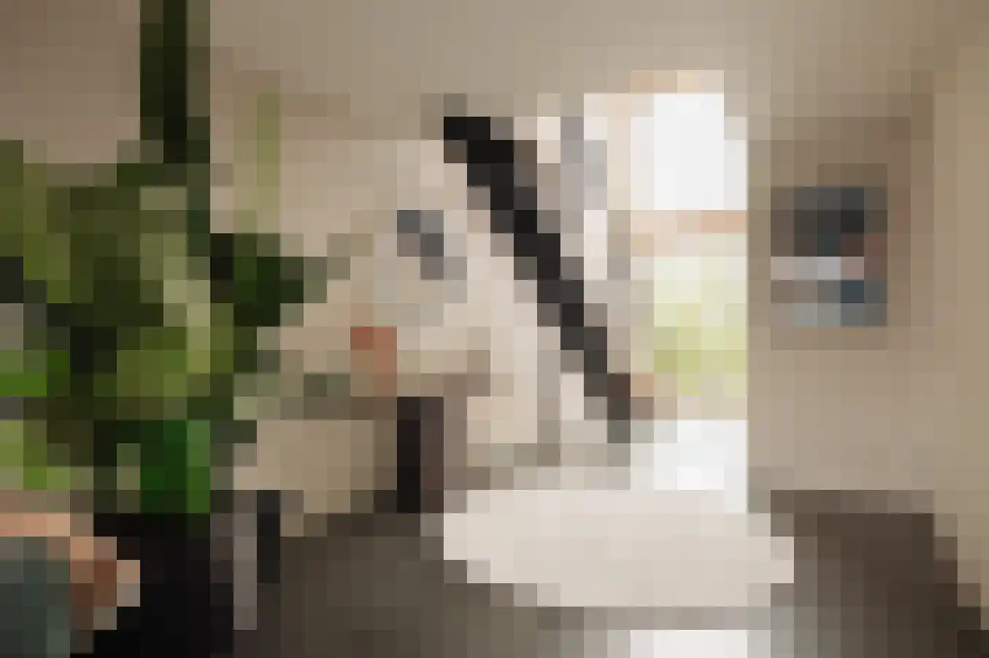 Haparandaweg 960 Amsterdam thumbnail 21