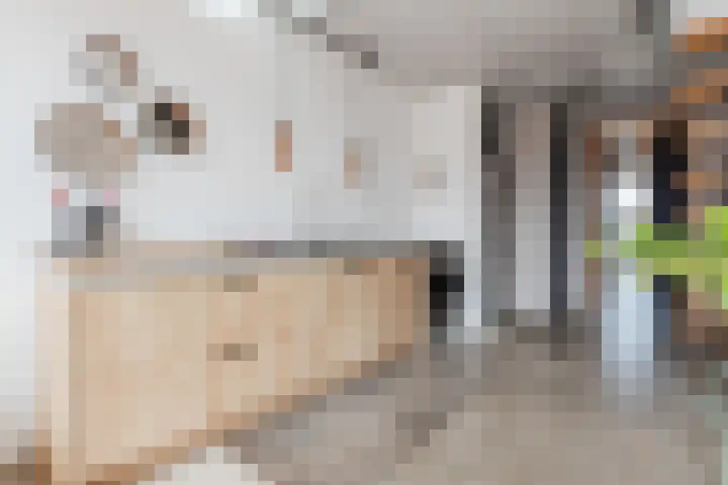 Haparandaweg 982 Amsterdam thumbnail 7
