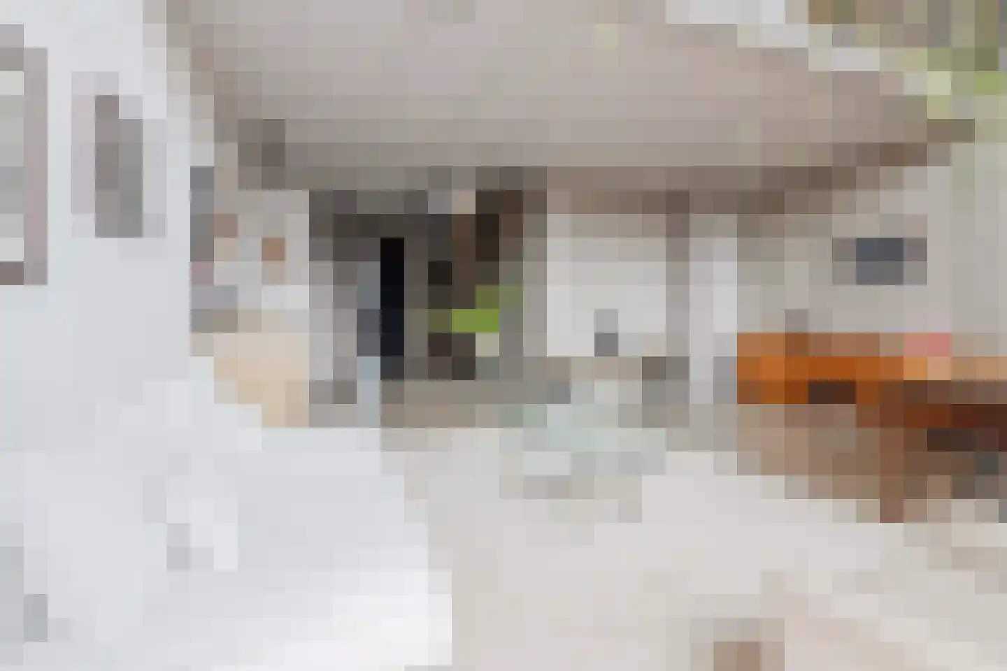 Haparandaweg 982 Amsterdam thumbnail 9