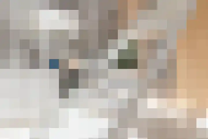 Haparandaweg 986 Amsterdam thumbnail 15