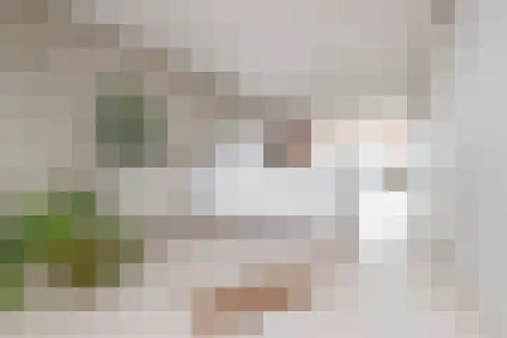 Haparandaweg 986 Amsterdam thumbnail 26