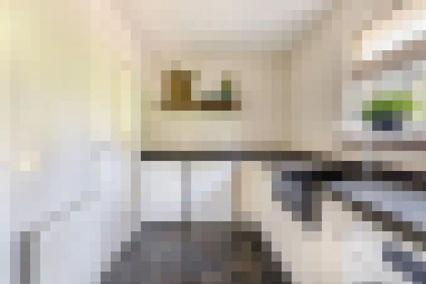 Hapertseweg 1 Duizel thumbnail 31