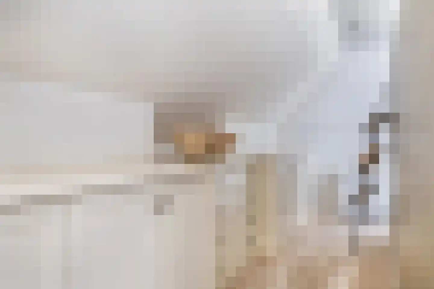 Hapertseweg 1 Duizel thumbnail 38
