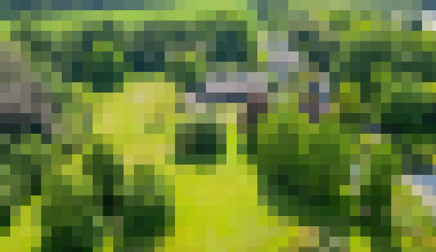 Hapertseweg 1 Duizel thumbnail 4