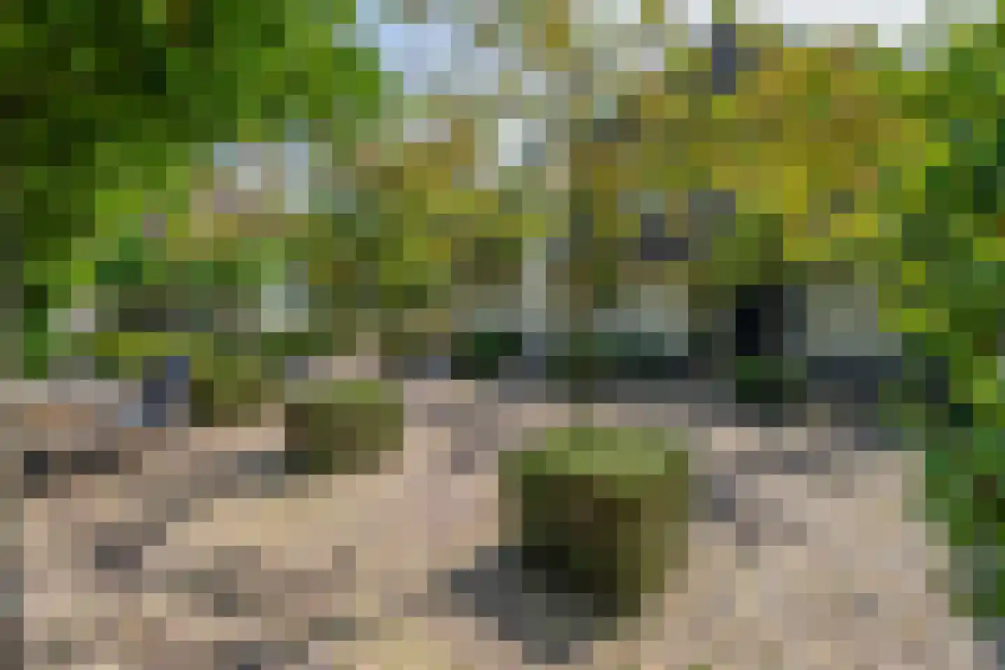 Hapertseweg 1 Duizel thumbnail 54