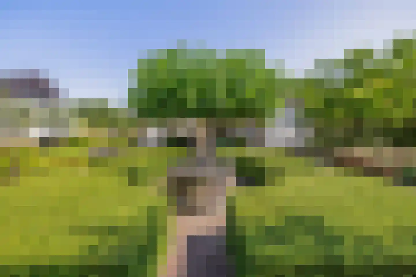 Hapertseweg 1 Duizel thumbnail 59