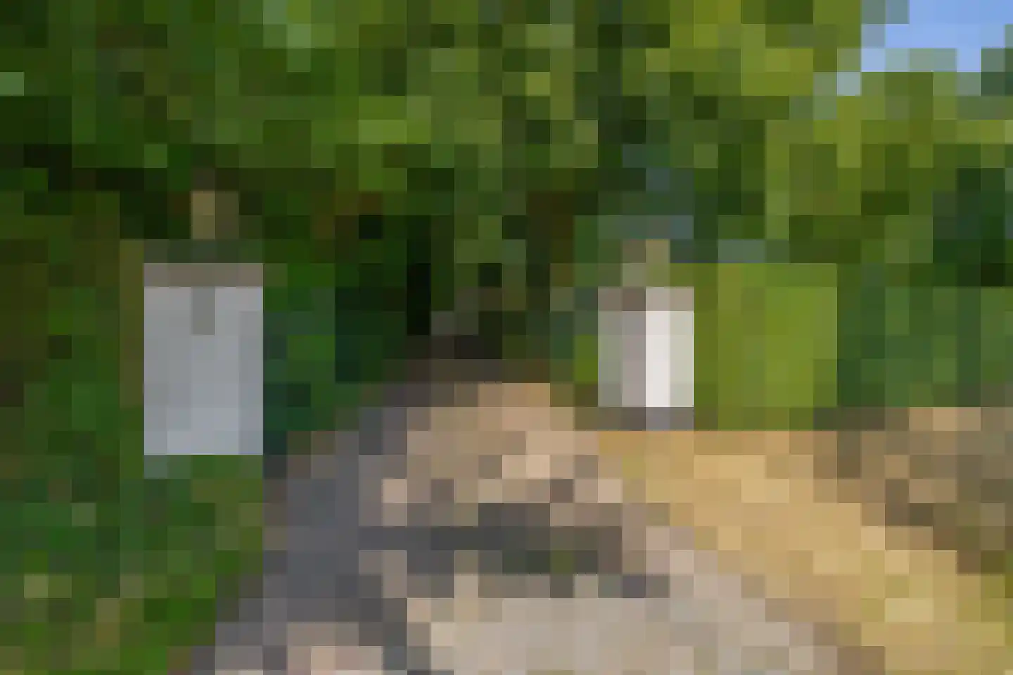 Hapertseweg 1 Duizel thumbnail 6