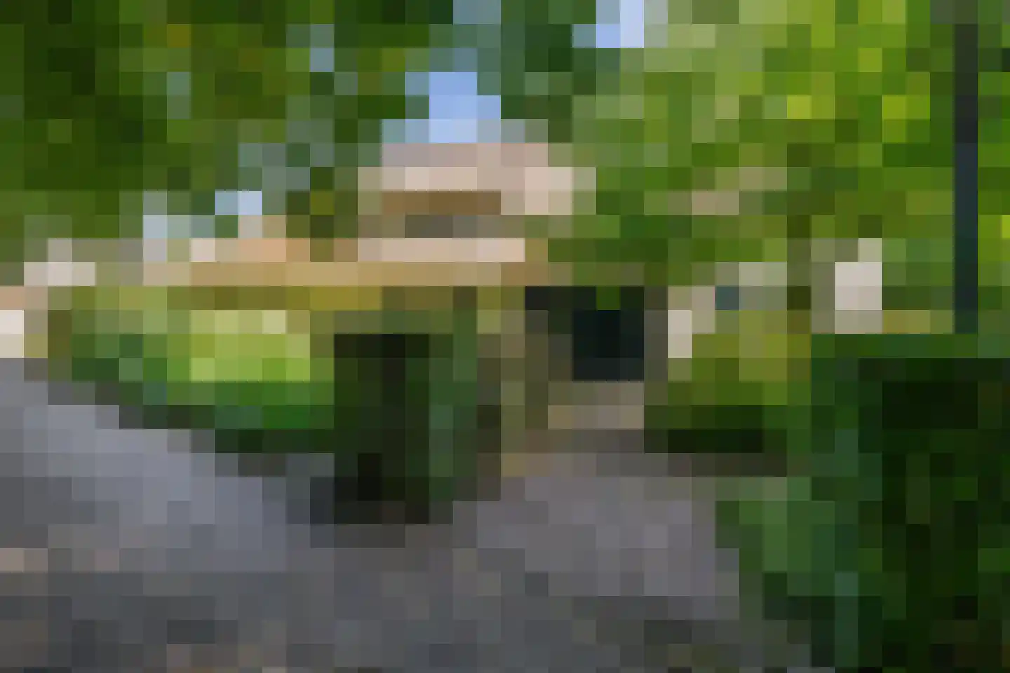 Hapertseweg 1 Duizel thumbnail 7