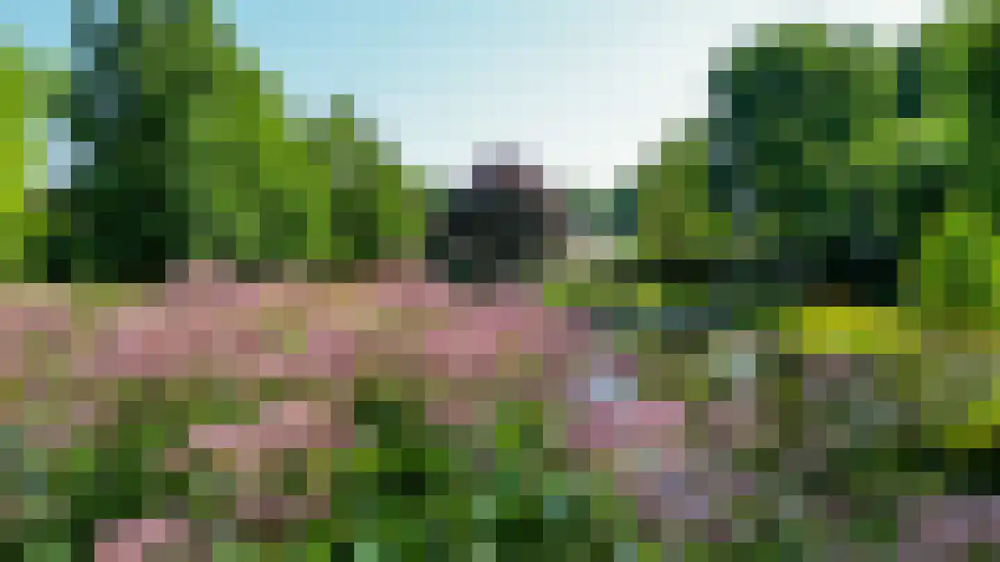 Hapertseweg 1 Duizel thumbnail 79