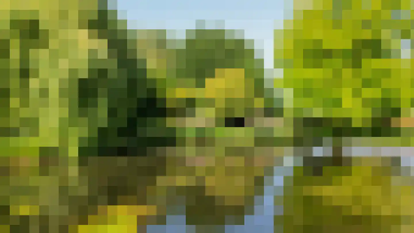 Hapertseweg 1 Duizel thumbnail 82