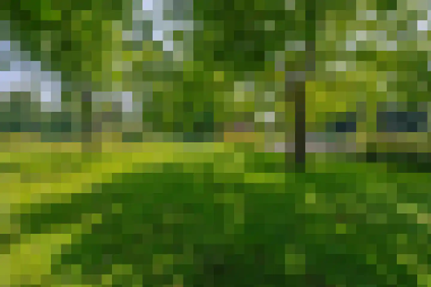 Hapertseweg 1 Duizel thumbnail 84