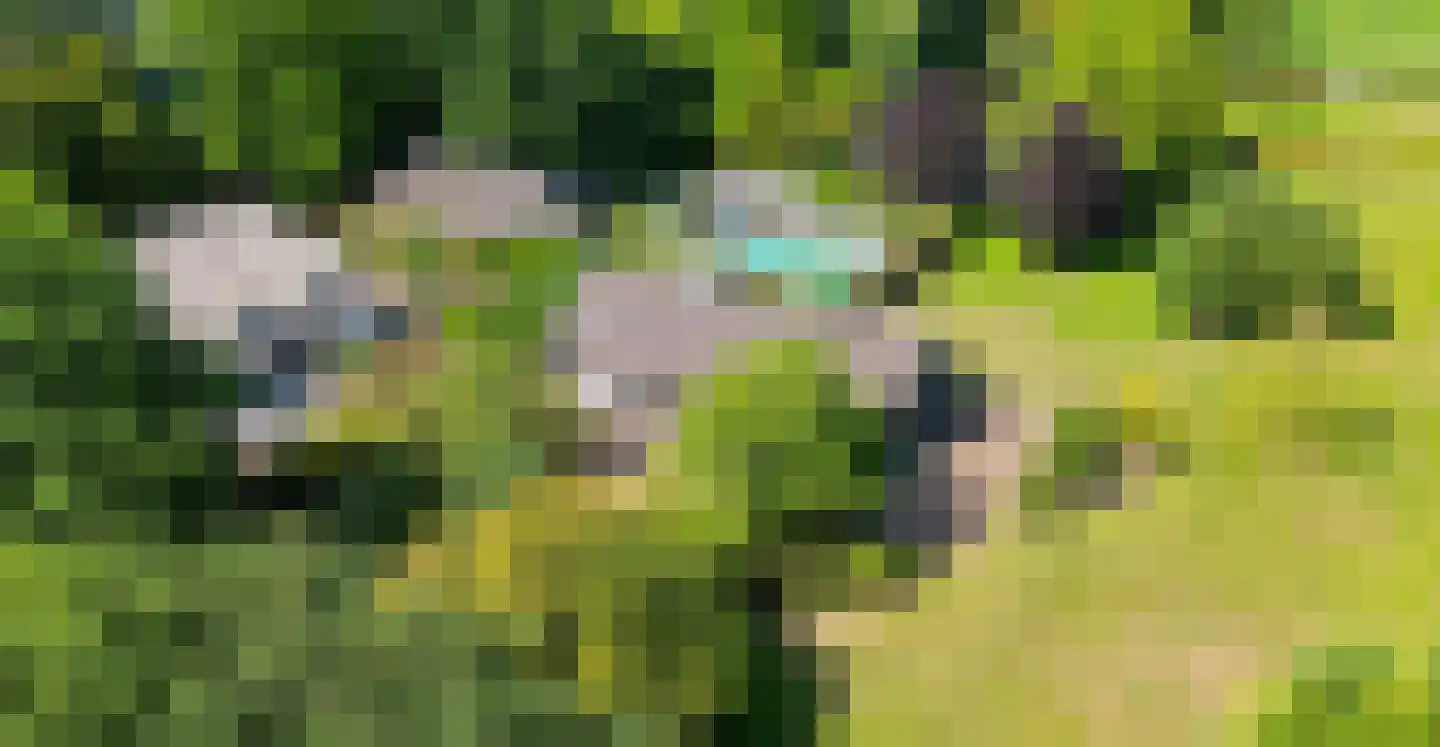 Hapertseweg 1 Duizel thumbnail 96