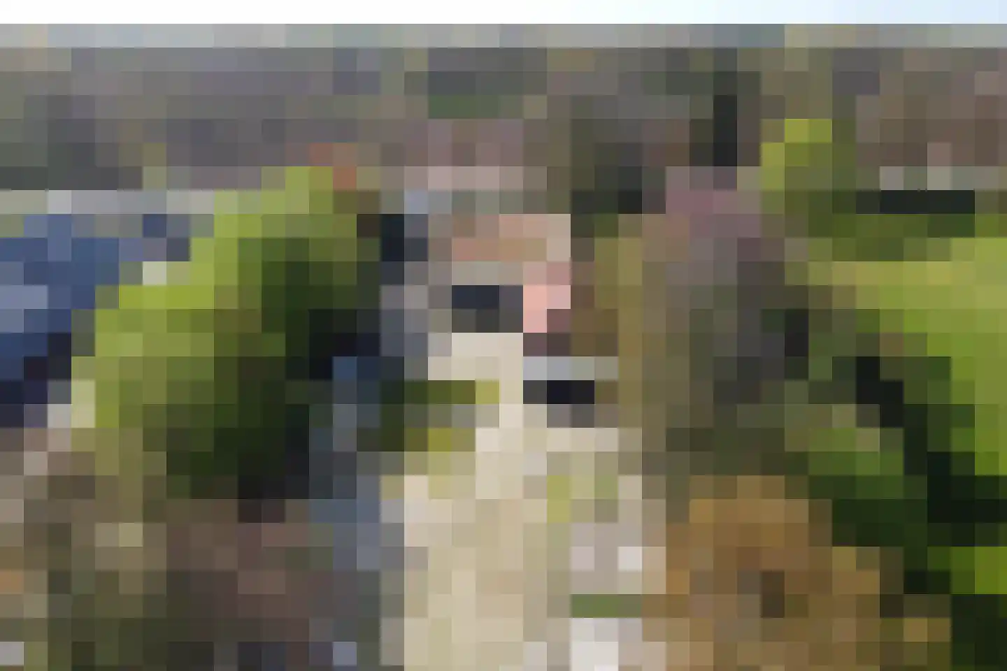 Hapertseweg 7 Duizel thumbnail 6