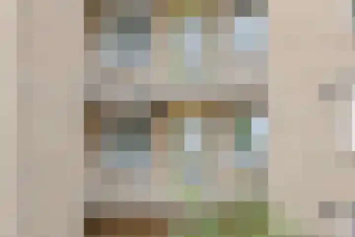 Photo d'équipe de HappyHome Makelaars Land van Cuijk