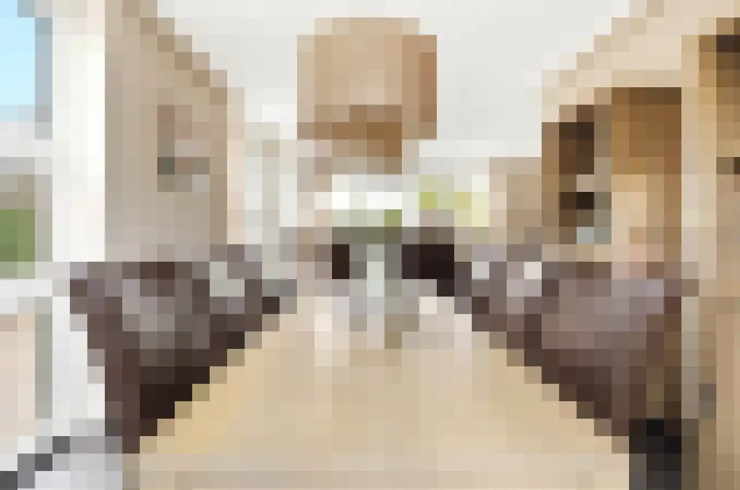 Hapsedijk 1 a Rijkevoort thumbnail 10