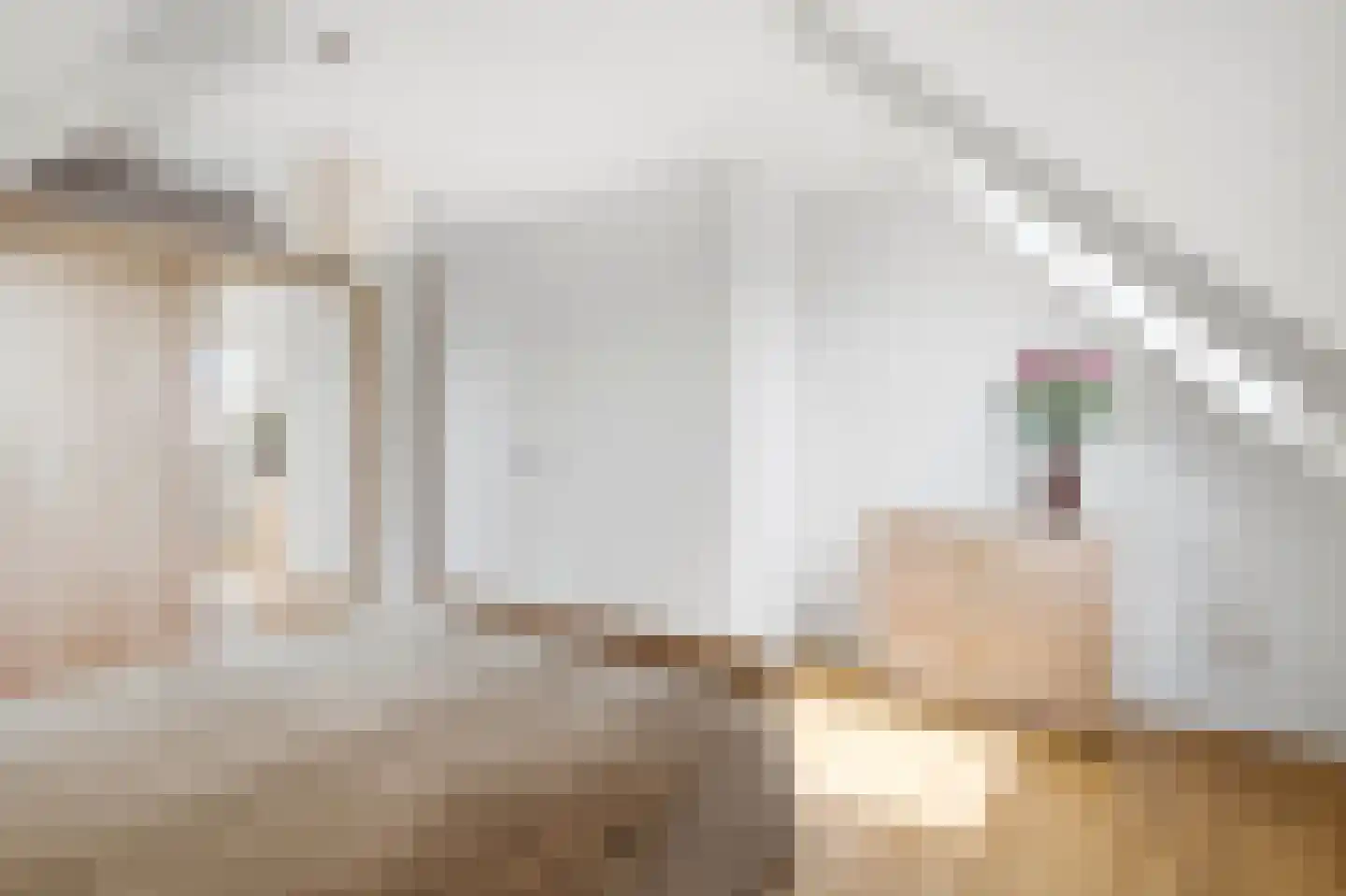 Hapsedijk 1 a Rijkevoort thumbnail 22
