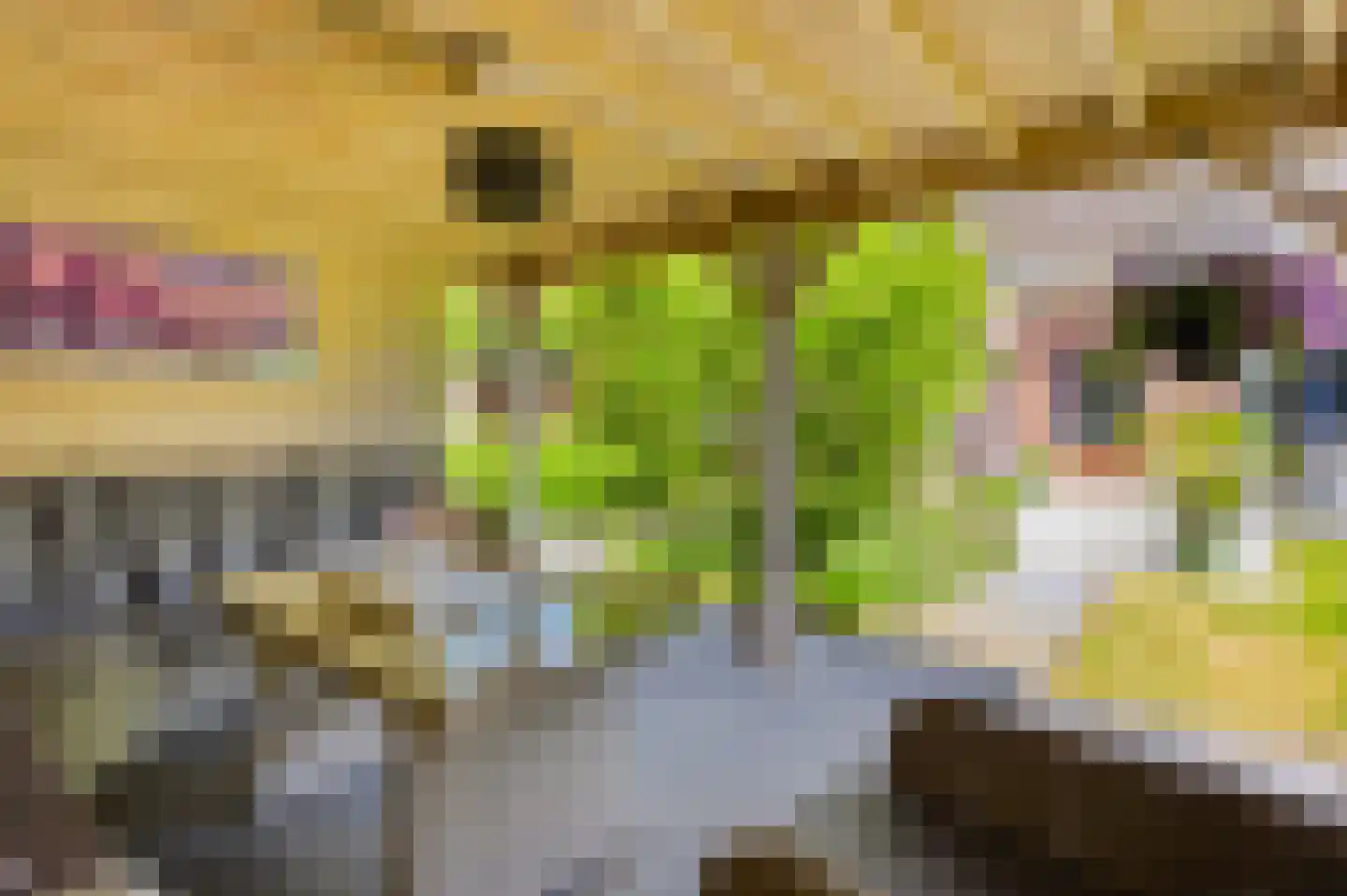 Hapsedijk 1 a Rijkevoort thumbnail 37