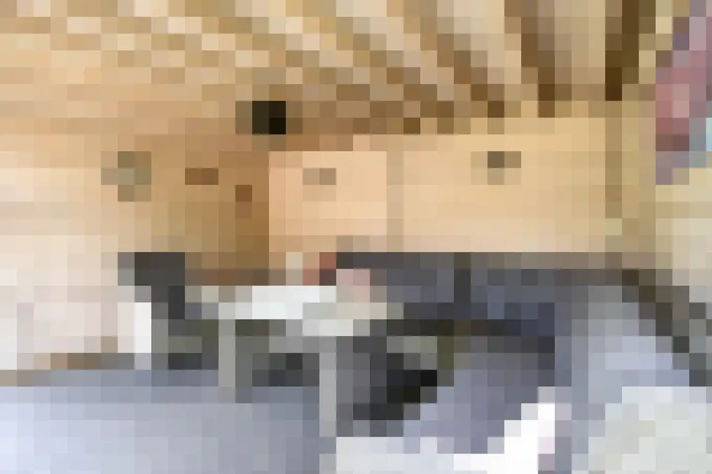 Hapsedijk 1 a Rijkevoort thumbnail 38