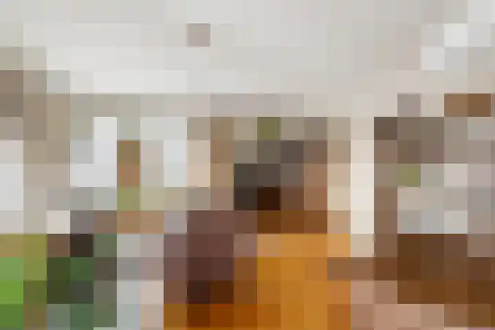 Hapsedijk 4 Rijkevoort thumbnail 10