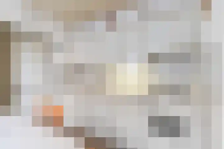Hapsedijk 4 Rijkevoort thumbnail 11