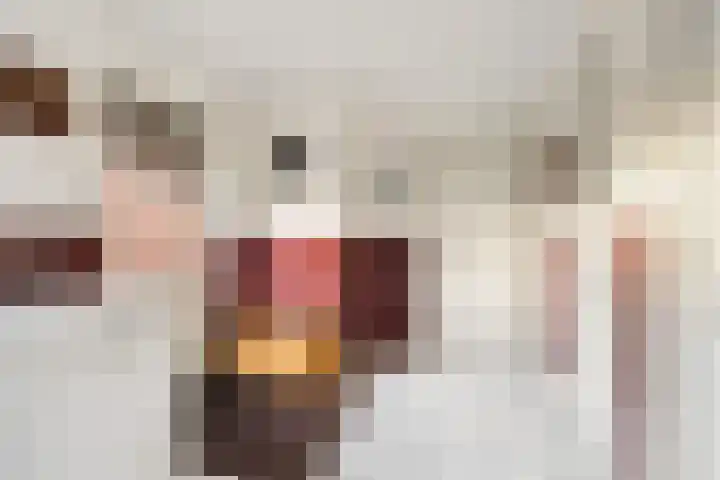 Hapsedijk 4 Rijkevoort thumbnail 14
