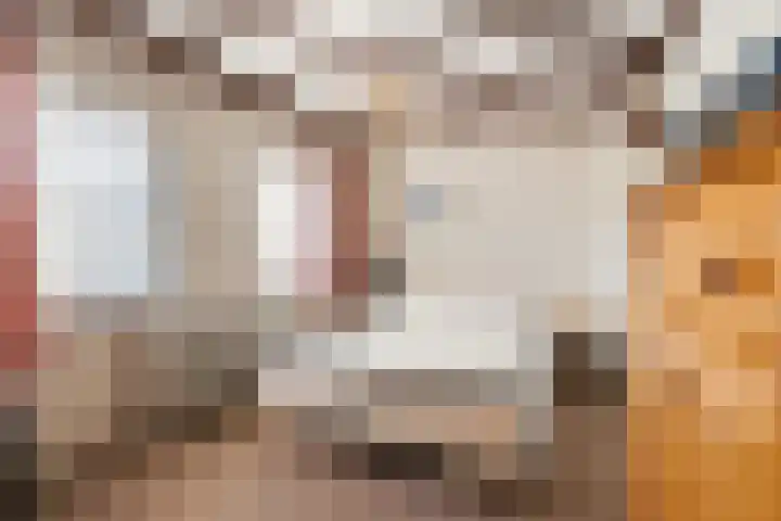Hapsedijk 4 Rijkevoort thumbnail 15