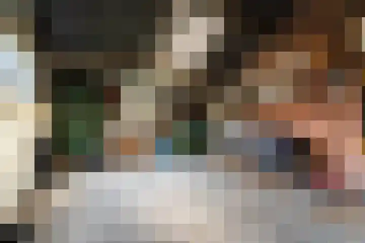 Hapsedijk 4 Rijkevoort thumbnail 20