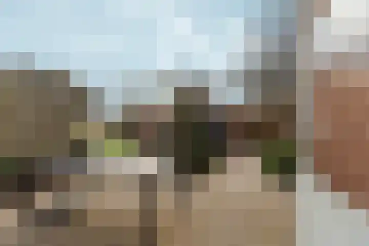 Hapsedijk 4 Rijkevoort thumbnail 22