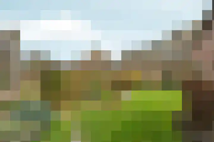 Hapsedijk 4 Rijkevoort thumbnail 24