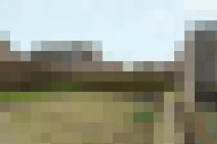 Hapsedijk 4 Rijkevoort thumbnail 25