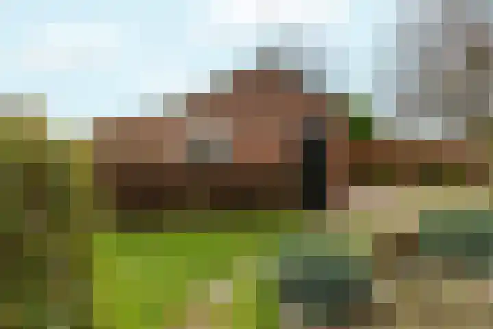 Hapsedijk 4 Rijkevoort thumbnail 27