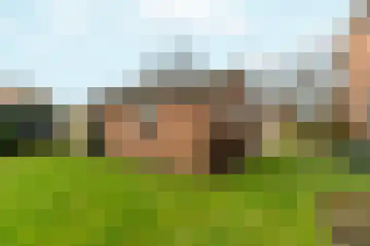 Hapsedijk 4 Rijkevoort thumbnail 28