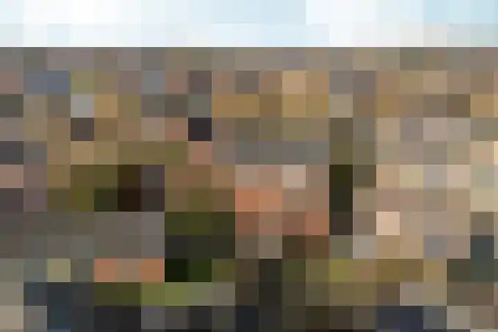 Hapsedijk 4 Rijkevoort thumbnail 31