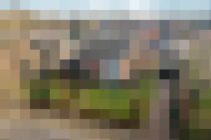 Hapsedijk 4 Rijkevoort thumbnail 38