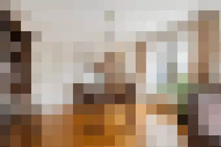 Hapsedijk 4 Rijkevoort thumbnail 9