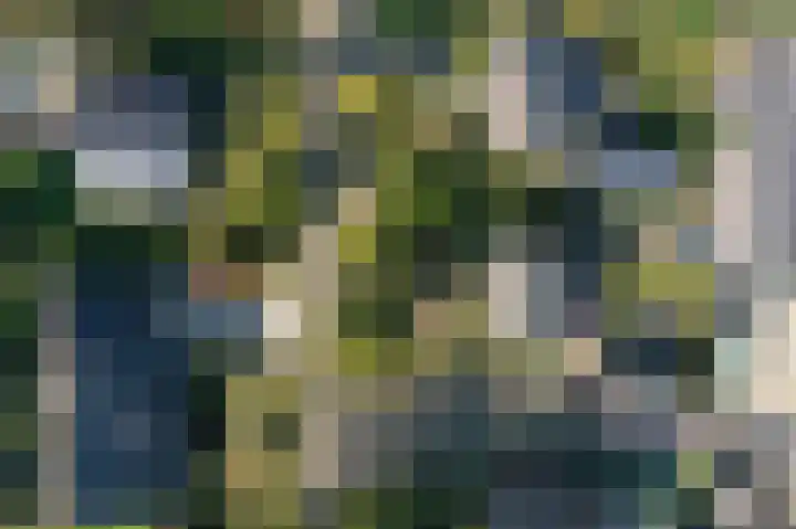 Hapsedijk 8 Rijkevoort thumbnail 10