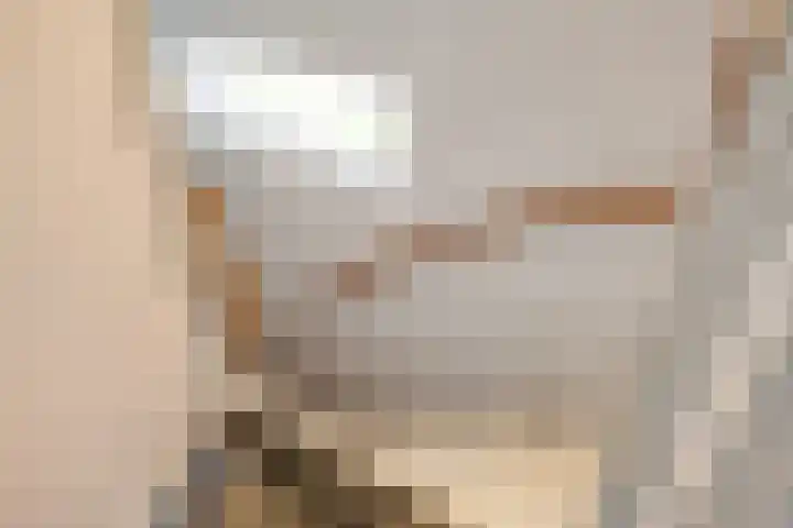 Hapsedijk 8 Rijkevoort thumbnail 12