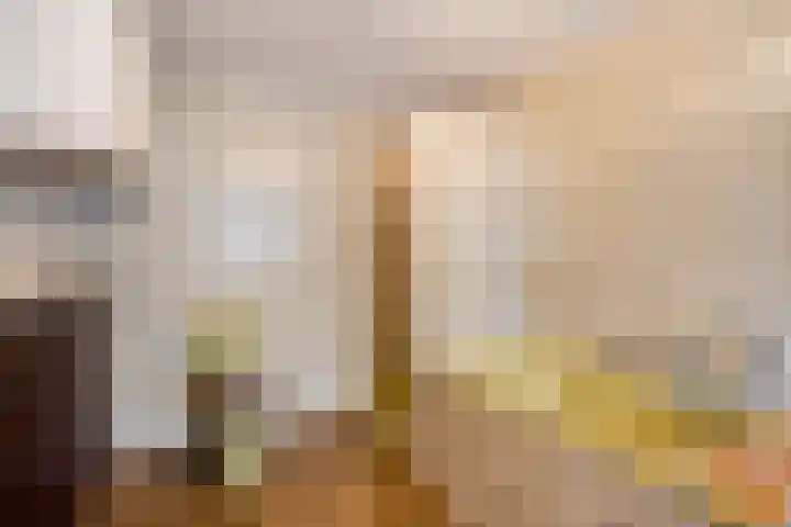 Hapsedijk 8 Rijkevoort thumbnail 25