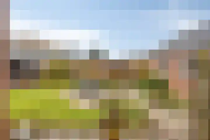 Hapsedijk 8 Rijkevoort thumbnail 27