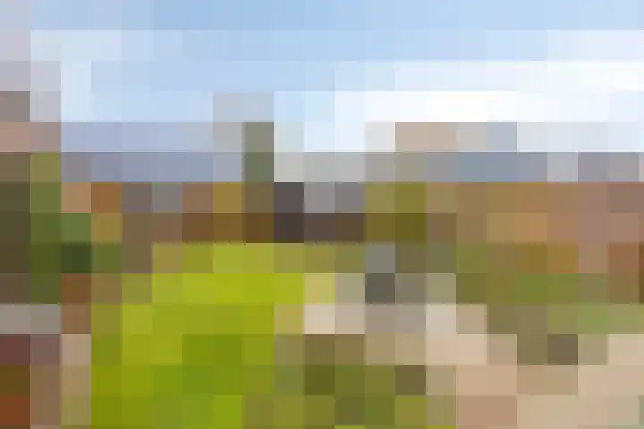 Hapsedijk 8 Rijkevoort thumbnail 28