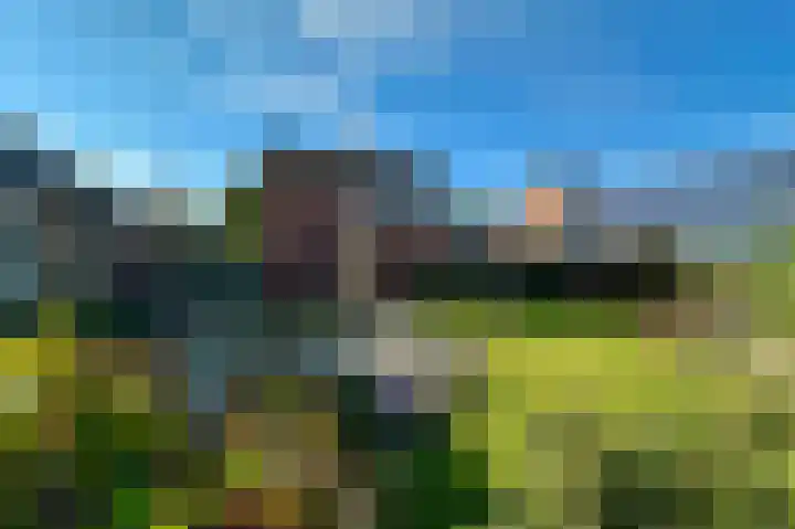 Hapsedijk 8 Rijkevoort thumbnail 30