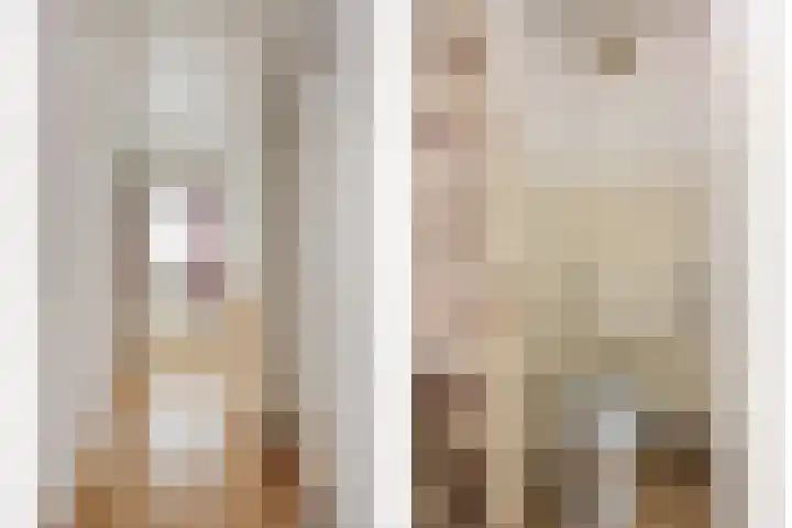 Hapsedijk 8 Rijkevoort thumbnail 31