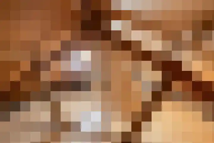 Hapsedijk 8 Rijkevoort thumbnail 38
